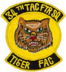 34th Tactical Fighter Squadron Tiger Forward Air Controller
