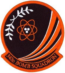 343d Bomb Squadron
