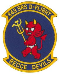 343d Strategic Reconnaissance Squadron D Flight
