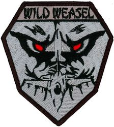 35th Fighter Wing F-16 Wild Weasel
