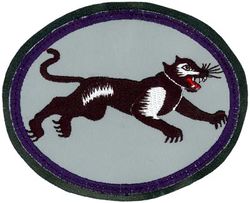 35th Fighter Squadron Heritage

