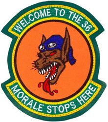 36th Fighter Squadron Morale
