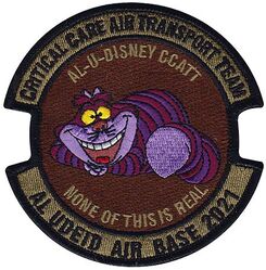 379th Expeditionary Aeromedical Evacuation Squadron Critical Care Air Transport Team 2021
Keywords: OCP