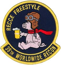 38th Reconnaissance Squadron Morale

