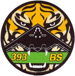 393d Bomb Squadron B-2
