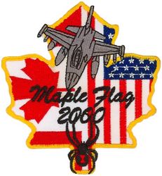 421st Fighter Squadron Exercise MAPLE FLAG 2000
