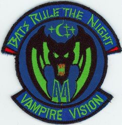 44th Fighter Squadron Night Vision Goggles
