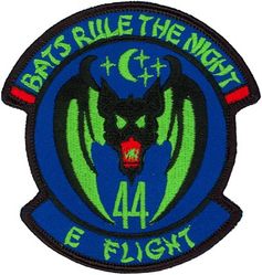 44th Fighter Squadron Night Vision Goggles E Flight
