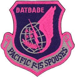 44th Fighter Squadron Pacific Air Forces Morale
