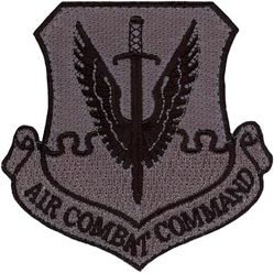44th Reconnaissance Squadron Air Combat Command Morale
