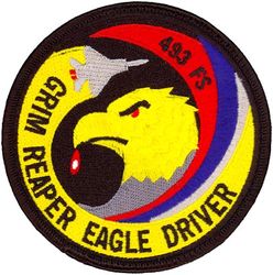 493d Fighter Squadron F-15 Pilot

