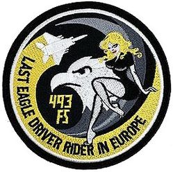 493d Fighter Squadron F-15 Morale
