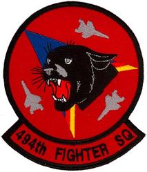 494th Fighter Squadron F-15E Morale
