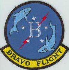 508th Strategic Missile Squadron (ICBM-Minuteman) Bravo Flight
