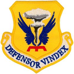 509th Bomb Wing
Translation: DEFENSOR VINDEX-Defender-Avenger
