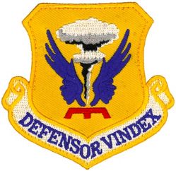 509th Bomb Wing
Translation: DEFENSOR VINDEX-Defender-Avenger
