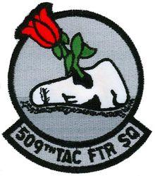 509th Tactical Fighter Squadron
