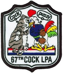 67th Fighter Squadron Lieutenant's Protection Association
