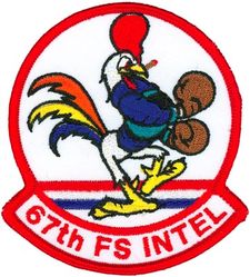 67th Fighter Squadron Intelligence Flight
