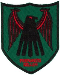 704th Tactical Air Support Squadron
