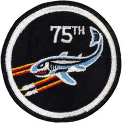 75th Fighter-Interceptor Squadron 
Possibly TFS.
