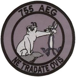 755th Air Expeditionary Group Morale
Keywords: Wile E. Coyote