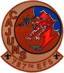 81st Expeditionary Fighter Squadron (787th Expeditionary Fighter Squadron) 
Combined with the 706 FS to form the 787 EFS, a non-official designation.
Keywords: desert