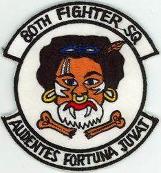 80th Fighter Squadron 
