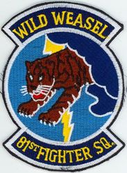 81st Fighter Squadron 
