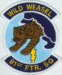 81st Fighter Squadron 
