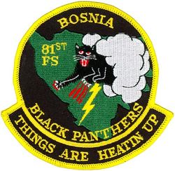 81st Fighter Squadron Bosnia Deployment
