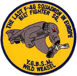 81st Fighter Squadron F-4G
Fake
