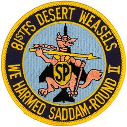 81st Fighter Squadron Operation SOUTHERN WATCH
Fake
