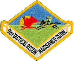 91st Tactical Reconnaissance Squadron 
