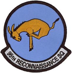 95th Reconnaissance Squadron
