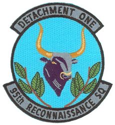 95th Reconnaissance Squadron Detachment 1
