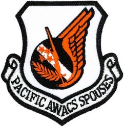 961st Airborne Air Control Squadron Pacific Air Forces Morale
