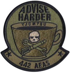 442d Air Expeditionary Advisory Squadron Morale
Keywords: OCP