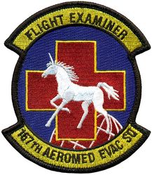 167th Aeromedical Evacuation Squadron Flight Examiner

