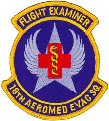 18th Aeromedical Evacuation Squadron Flight Examiner
