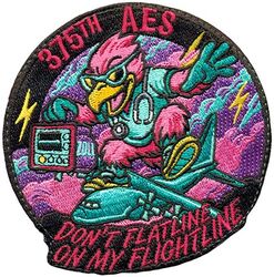 375th Aeromedical Evacuation Squadron Morale
