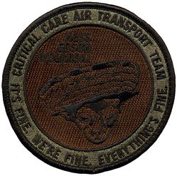 379th Aeromedical Evacuation Squadron Critical Care Air Transport Team 2022
Keywords: OCP