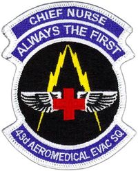 43d Aeromedical Evacuation Squadron Chief Nurse
