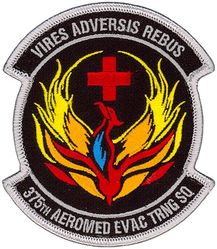 375th Aeromedical Evacuation Training Squadron
