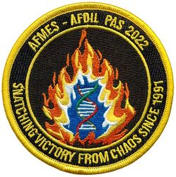 Armed Forces Medical Examiner System Armed Forces DNA Identification Laboratory Past Accounting Section 2022
