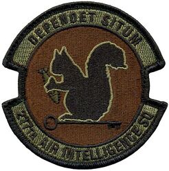 217th Air Intelligence Squadron
Keywords: OCP