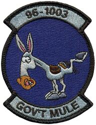 133d Aircraft Maintenance Squadron C-130H 96-1003
