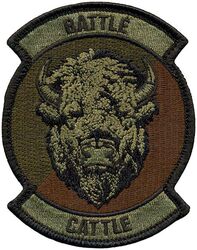 139th Airlift Squadron Morale
Keywords: OCP