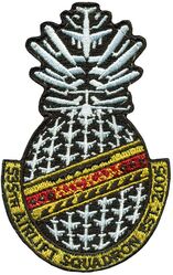 535th Airlift Squadron Morale
