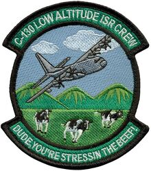 61st Airlift Squadron C-130 Low Altitude ISR Crew
